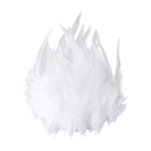 100pcs Plumage for Hat Making Jewelry Embellishment-White