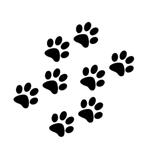 Adorable Cats Paws Prints Decal Set Reflective Design-Black