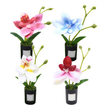 20Pcs Pequenas Artificiais Plásticas Para Decoração