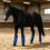4Pcs Easy To Use Horse Leg Wrap Fly Boot With Four-Orange 3
