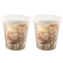 2Boxen DIY Sea Shells Transparente Muscheln Für - Und Tischdeko