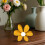 Panneaux de Table en bois, décorations, marguerites, fleurs,-L 5