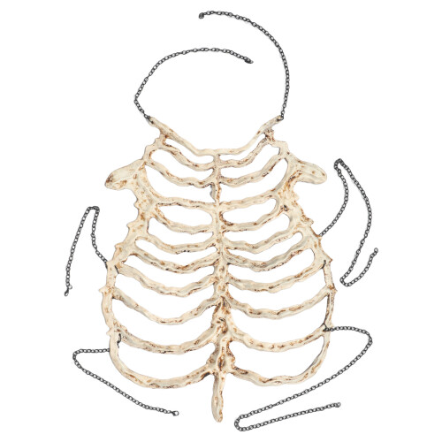 Prop Squelette Plastique Beige Accessoire Cosplay Effrayant