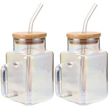 2St Duurzame Glazen Waterbeker Met Rietje, Handvat En Design