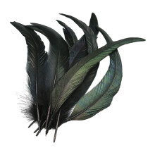 40Pcs Delicate White Plumage 25 30Cm Suitable For Garment-Black