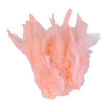 100 Craft Plumage for Holiday Decoration Gift-meat powder