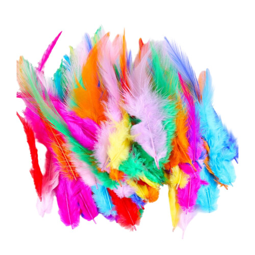 100 Assorted Plumage for Hair Clip Mask-Multi-Colored