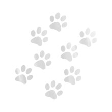 8 Stück Katzenpfoten-Design-Aufkleber, vielseitig-Weiß