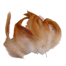 100PCS Soft Plumage For Projects Portable Decorative-Huang Yong