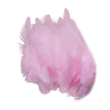 100Pieces Craft Plumage With Rainbow Detail Home-Pink