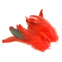 100PCS Decorative Plumage For Artistic Designs Great For-Red