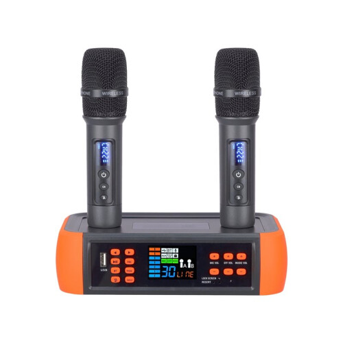 D80 Multi Channel DSP Microphone Anti Whistling Reverb  Wireless Microphone Singing Home Microphone US Plug