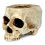 Small Decorative Skull Pot Great For Cultivating dry-White 1