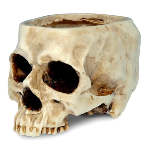 Small Decorative Skull Pot Great For Cultivating dry-White