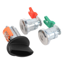 Zünd- und Türschlosszylinder-Set 703369 - 2 Schlüssel