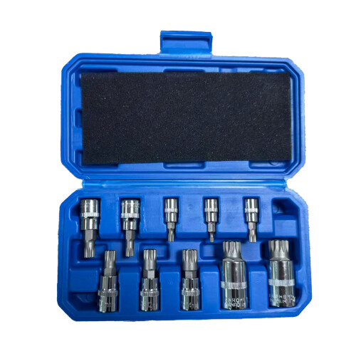 10 stuks professionele punt triple vierkante spline bit socket