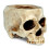 Creatieve bloemenhouder met skeletstructuur, ideaal voor-Wit 1
