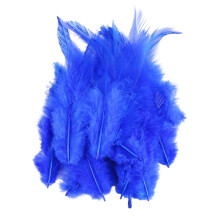 100 Delicate Plumage for Table Centerpieces Photo-royal blue