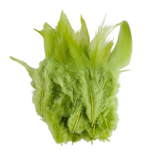 Pack Of 100 Natural Plumage For Crafts Elegant-olivewood green