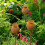 Gartenkunst, rostiges Finish, Eisen-Rasenornament, 6