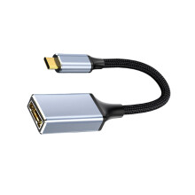 Petit adaptateur de Type C vers DP1.4, connecteurs-Noir
