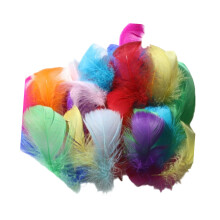 Pack of 300 Natural Plumage for Costume Design Home-D