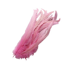 40Pcs White Plumage 25 30Cm For Stage And Wedding Use-Pink