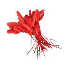 Plumage coloré 50 pièces pour Costumes professionnels et-Rouge