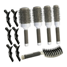 Professional Hair Styling Kit Includes 5 Brushes And 6 Clips For