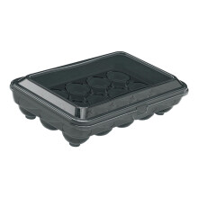 Plastic Eggs Box Ideal For Storing And Carrying Eggs-Gray 15