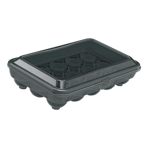 Plastic Eggs Box Ideal For Storing And Carrying Eggs-Gray 15