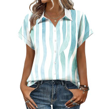 Women's V-neck short-sleeved shirt, casual positional-Blue XL