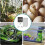 Thermostat Socket with Sensor,Temperature Controller Socket Outlet Lcd Screen Heating Cooling Temperature  UK Plug 5