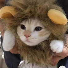 (M) Divertente parrucca da gatto con criniera da leone per Natale - Set da 1 pezzo