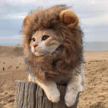 (S) Perruque et bonnet de costume de chat à crinière de lion amusante pour Noël et Halloween, ensemble de 1 pièce