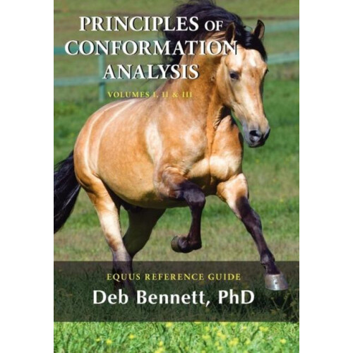 Principles of Conformation Analysis Equus Reference Guide by Deb Benne
