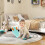 Balance boards for children, balance training 2