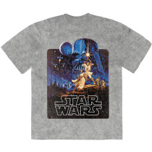 (XL, Grey) Star Wars Luke & Leia Pose Limited Premium Wash T Shirt