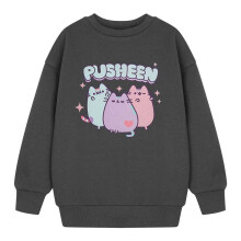 (11-12 Years, Grey) Pusheen Girls Pastel Sweatshirt