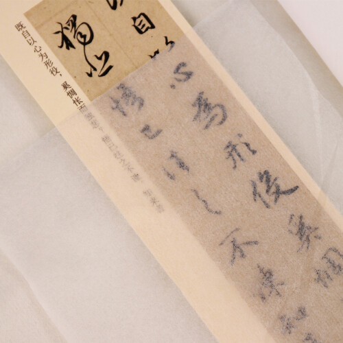 Premium Cicada Wing Paper Pack 35x44cm 50 vellen-Type 4