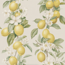 Yellow Lemon Trail Wallpaper Neutral Floral White Blossoms Feature Wall