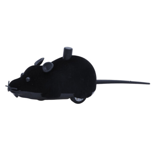 Jouet rampant en forme d'araignée et de souris, gadget de-C