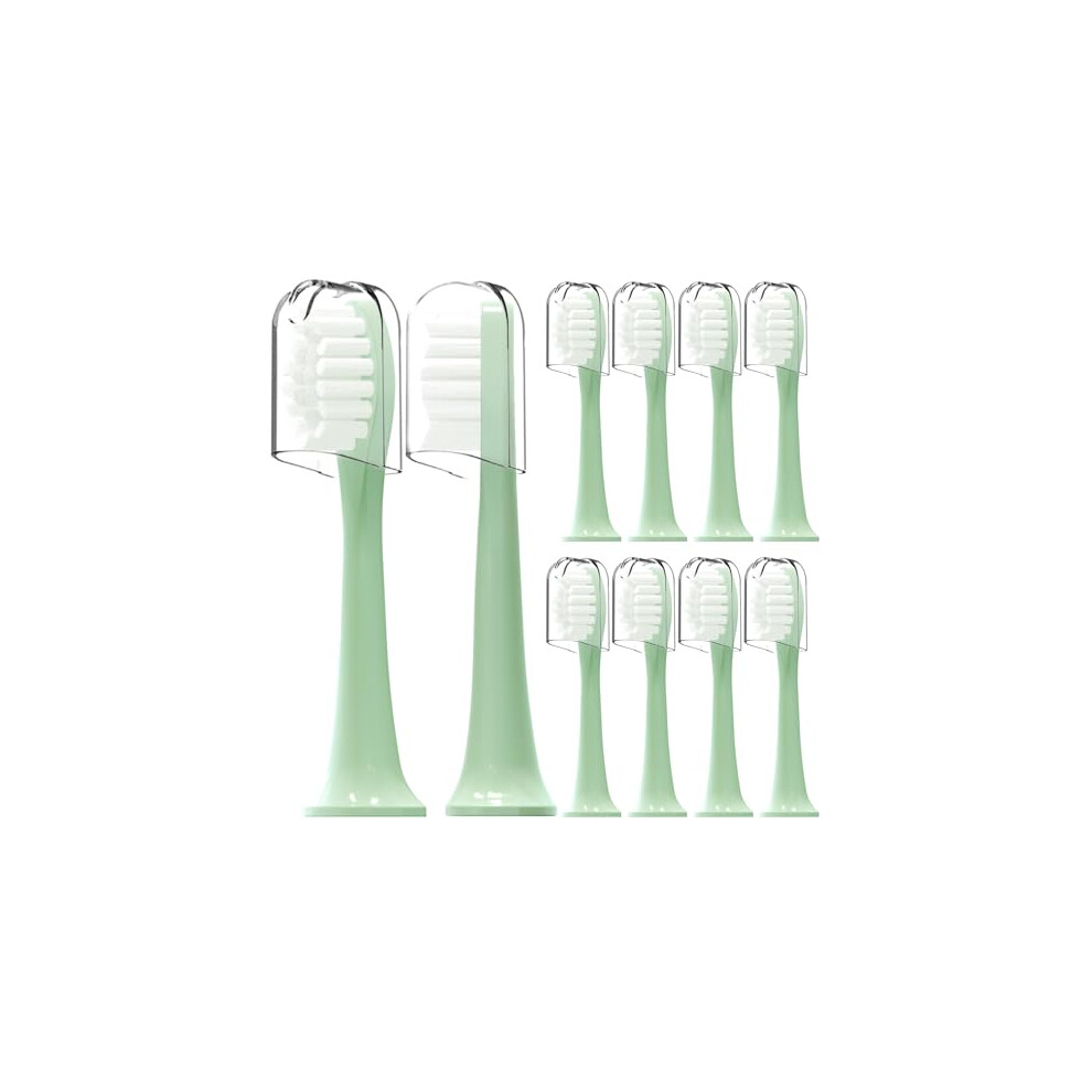 Iorilip Replacement Toothbrush Heads Compatible With Suri Electric Toothbrush,For Suri Sonic Electric Toothbrush,With Dust Cover,10 Pack (Winter Fern, M)