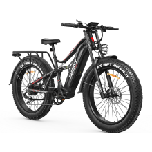Freesky Electric bike Swift Horse Pro X-6E 48V 30AH E-Mountainbike 38 MPH