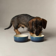 Scruffs Ombre 2pc Ceramic Dog/Pet Bowl Set - Blue 13cm