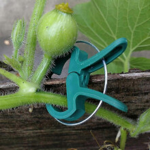20 Pcs Plant Clips And Tomato Clips And Gardening Plants Support,plant Clips for Climbing Plants,vine Clips for Straightening