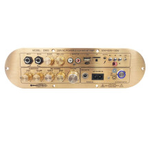 -Audioverstärker, Hochleistungs-Digitalverstärkerplatine, -Subwoofer-Verstärker für Zuhause/AUX/USB/TF-Karte, Verstärker (USA)