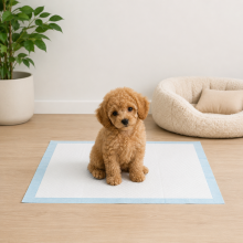 belviona Trainingsunterlagen Hund, Welpenpads mit SAP-Saugkern, auslaufsicher, hygienisch & vielseitig einsetzbar, 60x60 cm, 100 Stk.