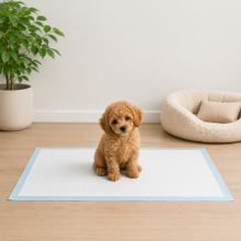 belviona Trainingsunterlagen Hund, Welpenpads mit SAP-Saugkern, auslaufsicher, hygienisch & vielseitig einsetzbar, 60x90 cm, 100 Stk.