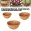 Durability Coconuts Planter Decorative Iron Plant-12 inches 3